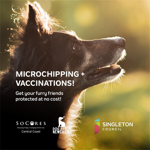 Free Pet Microchipping and Vaccinations -  Social Tile - 2024.png